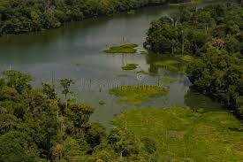 Image result for bacía