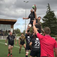 Image result for Harpenden Rugby Club