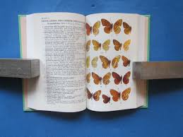 Attēlu rezultāti vaicājumam “Clossiana selene upperside”