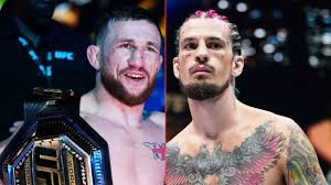 Image result for მერაბი