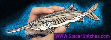 Image result for Polyodon spathula