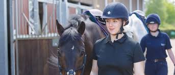 Image result for British Horse Society