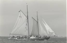 Image result for The Island Cruising Club Limited