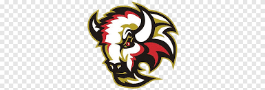 Image result for Basingstoke Buffalo