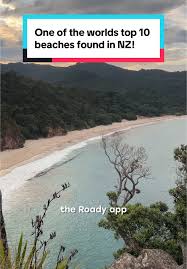 Image result for new chums beach