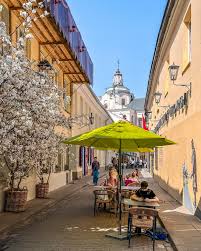 Image result for keltas vilnius