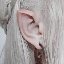 Image result for ear mod