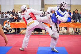 Image result for Taekwondo Athletes Program USA