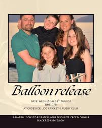 Image result for Croesyceiliog Cricket Club