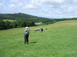 Image result for Mid Surrey Ramblers