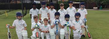 Image result for Yelverton Bohemians Cricket Club