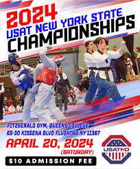 Image result for York University Taekwondo Club