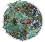 Attēlu rezultāti vaicājumam “Arctophila superbiens”