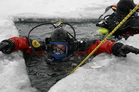 Image result for Cleveland Divers