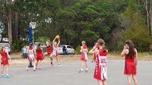 Image result for Comets Netball Club