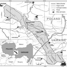 Attēlu rezultāti vaicājumam “Serpoleskea subtilis sporophyte”
