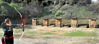 Image result for Burntwood Archers