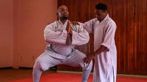 Image result for kung fu