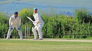 Image result for Bideford/Littleham/Westward Ho Cricket Club
