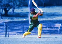 Image result for Swyncombe Cricket Club