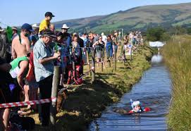 Image result for World Champion Bog Snorkelling Triathlete