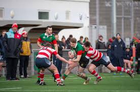 Image result for Stirling Wolves