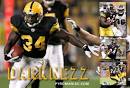 rashard mendenhall collage