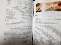 Attēlu rezultāti vaicājumam “Didymium serpula young”