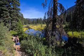 Image result for Leek Park B C