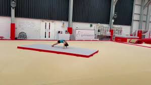 Image result for Colchester School Of Gymnastics