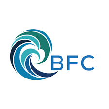 Image result for bfc