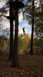 Image result for Go Ape! Leeds Castle