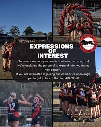 Image result for Eltham Panthers