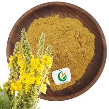 Attēlu rezultāti vaicājumam “Verbascum thapsus fruit”