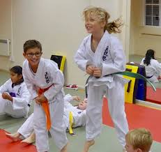 Image result for Seiki Juku Karate Club