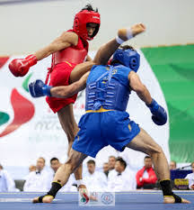 Image result for Chinese Kick Boxing Club