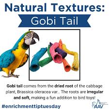 Image result for root-tail