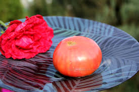 Afbeeldingsresultaat voor marizol purple tomato