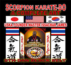 Image result for Scorpion Martial Arts Academy
