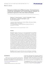 Attēlu rezultāti vaicājumam “Amaurochaete fusiformis macro”