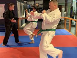 Image result for Imperial Karate Club