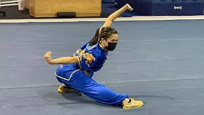 Image result for Dragon Wushu Club