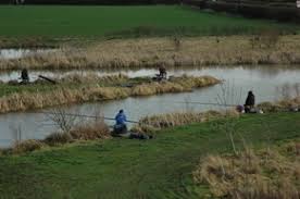 Image result for Dunham Massey Angling Club