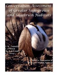 Image result for Ingarfield Condor Team