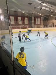 Image result for Ballymena Vandals