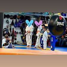 Image result for Norfolk Jikishin Ju Jitsu Club