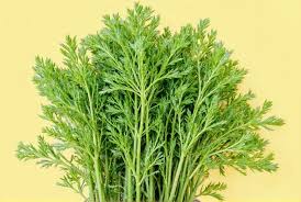 Image result for Bohnenkraut