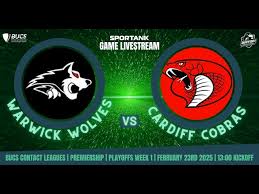 Image result for Warwick Wolves