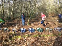 Image result for Guildford Orienteers