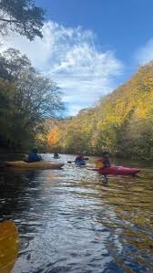 Image result for York University Canoepolo Club